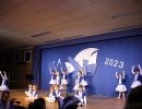 gca  